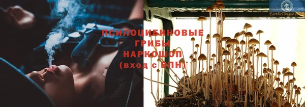 спиды Армянск
