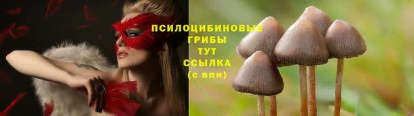 спиды Армянск
