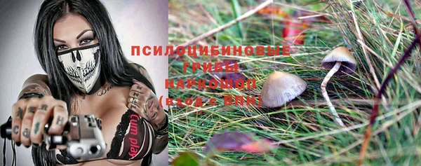 спиды Армянск
