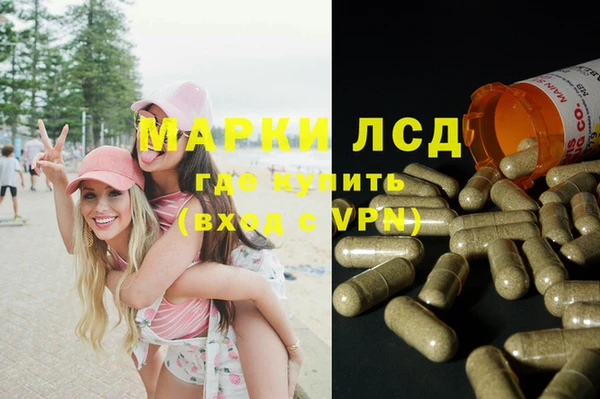 мяу мяу мука Аркадак