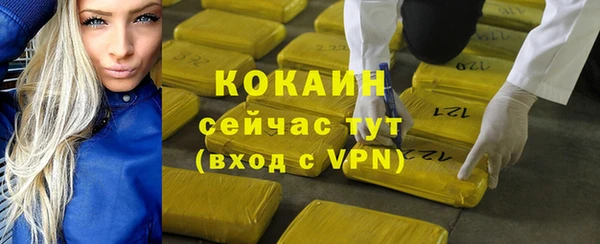 мяу мяу мука Аркадак