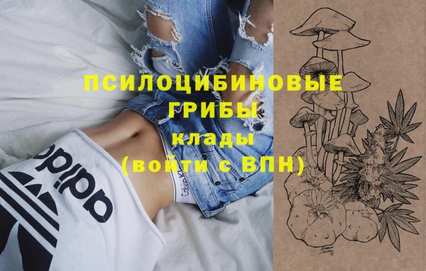 спиды Армянск