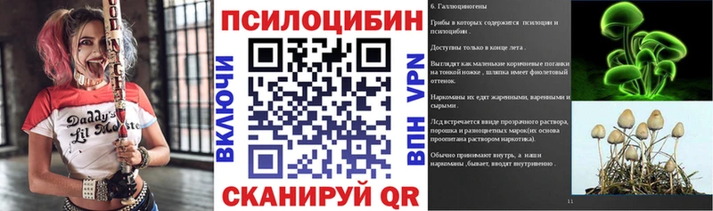 Галлюциногенные грибы GOLDEN TEACHER  магазин  наркотиков  Новый Оскол 