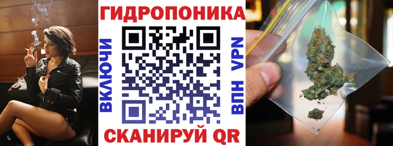 где можно купить наркотик  дарк нет состав  гидра онион  Шишки марихуана планчик  Новый Оскол 